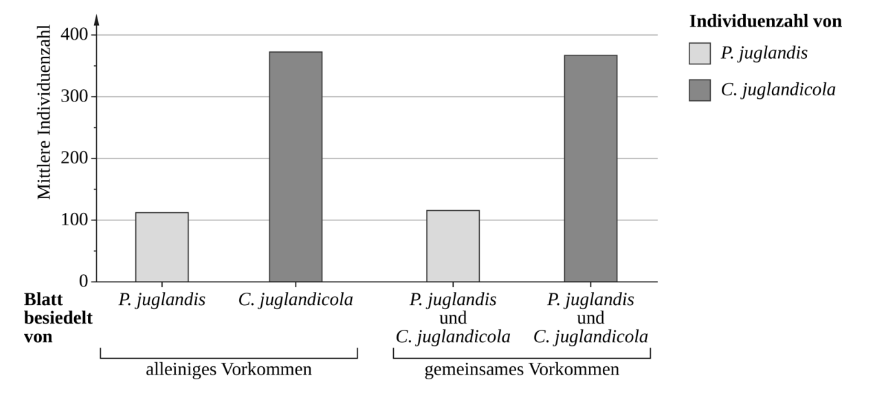 Balkendiagramm zur mittleren Individuenzahl von P. juglandis und C. juglandicola bei alleinigem und gemeinsamem Vorkommen.